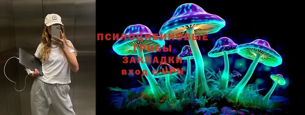 spice Лабытнанги